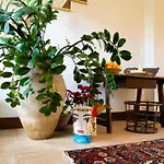 Casa Mathea Villa